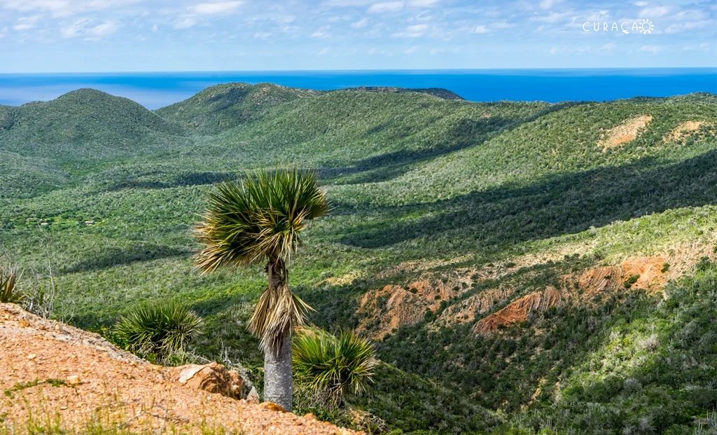 Green hills and Caribbean Sea seen from Christoffel National Park