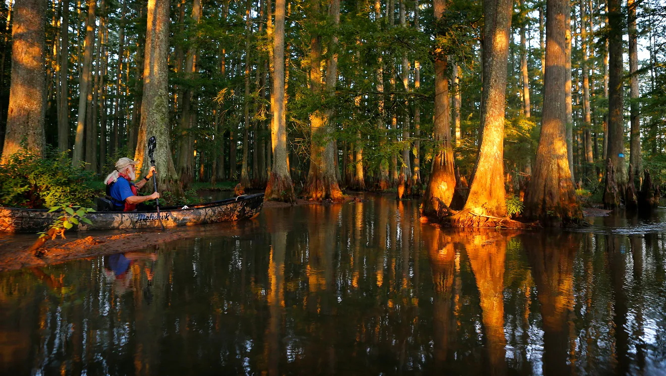 A paddler on still cypress water in the Ghost River section of the Wolf River