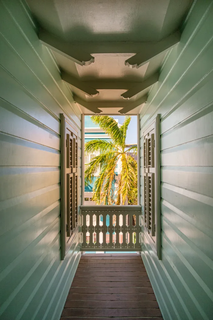 Open blue shutters and palms at Kura Botanica