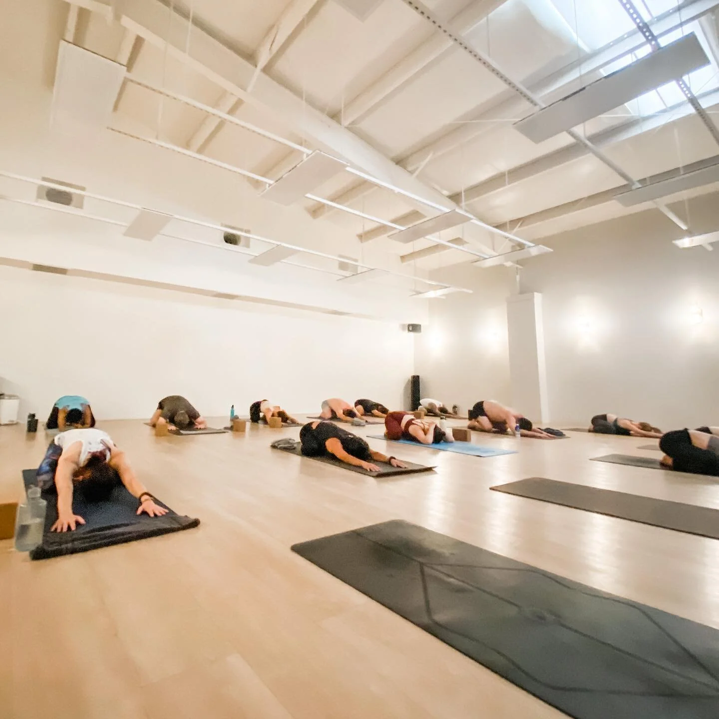 Yoga class practicing in the light-filled Mind Body HAUS studio