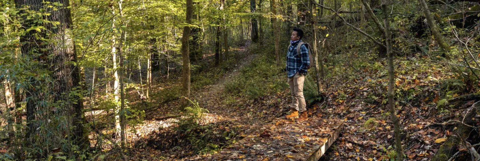 A hiker on a wooded trail at Meeman-Shelby Forest